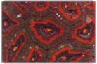 Volcano Acan Lord